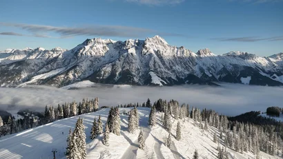 Schneebedeckte Berglandschaft mit Tannen und nebelfreiem Himmel