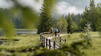 Gruppe wandernder Menschen auf Holzbrücke in nebligem Waldgebiet